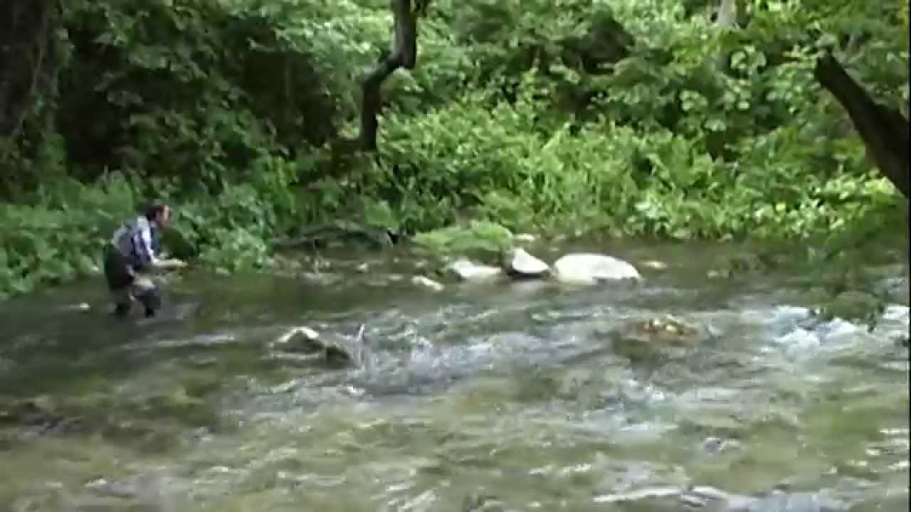 Pesca a mosca secca pratica