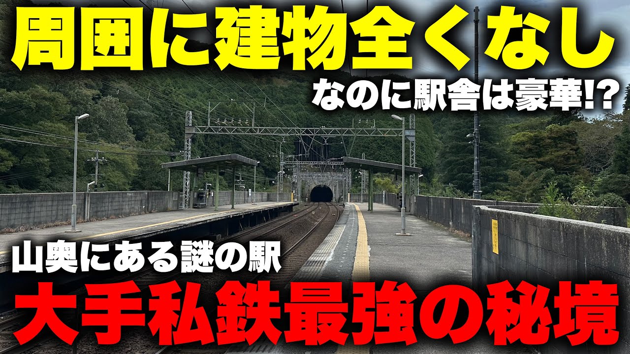 【辺境】大手私鉄の駅なのに 