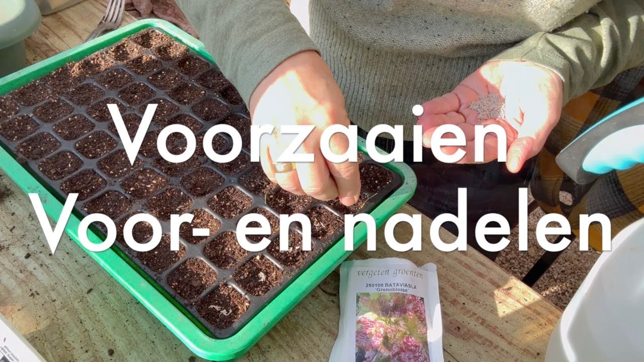 Ini's Moestuin #220 - Voorzaaien: voor- en nadelen, waar op letten en wat is de juiste temperatuur?