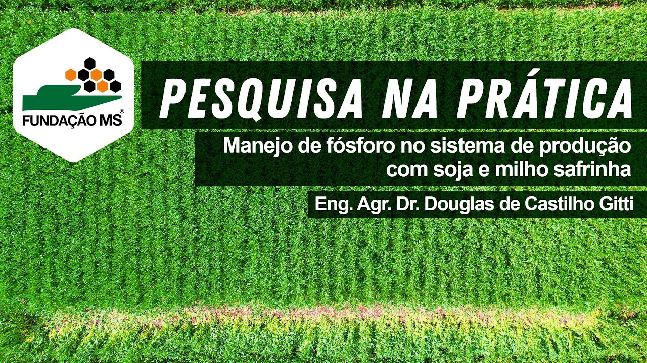 Pesquisa na prática: Manejo de Fósforo no sistema de produção com soja e milho safrinha