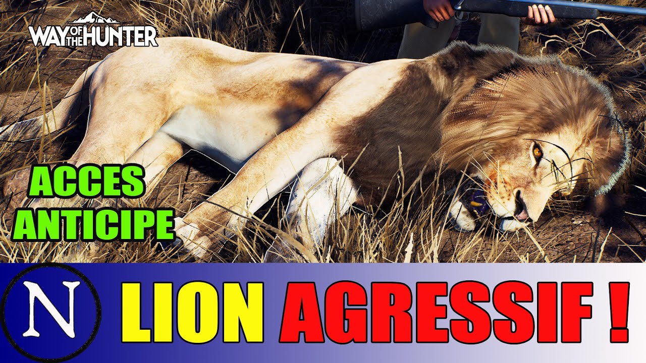 Way of the Hunter : Premier lion et gibiers agressifs !!!