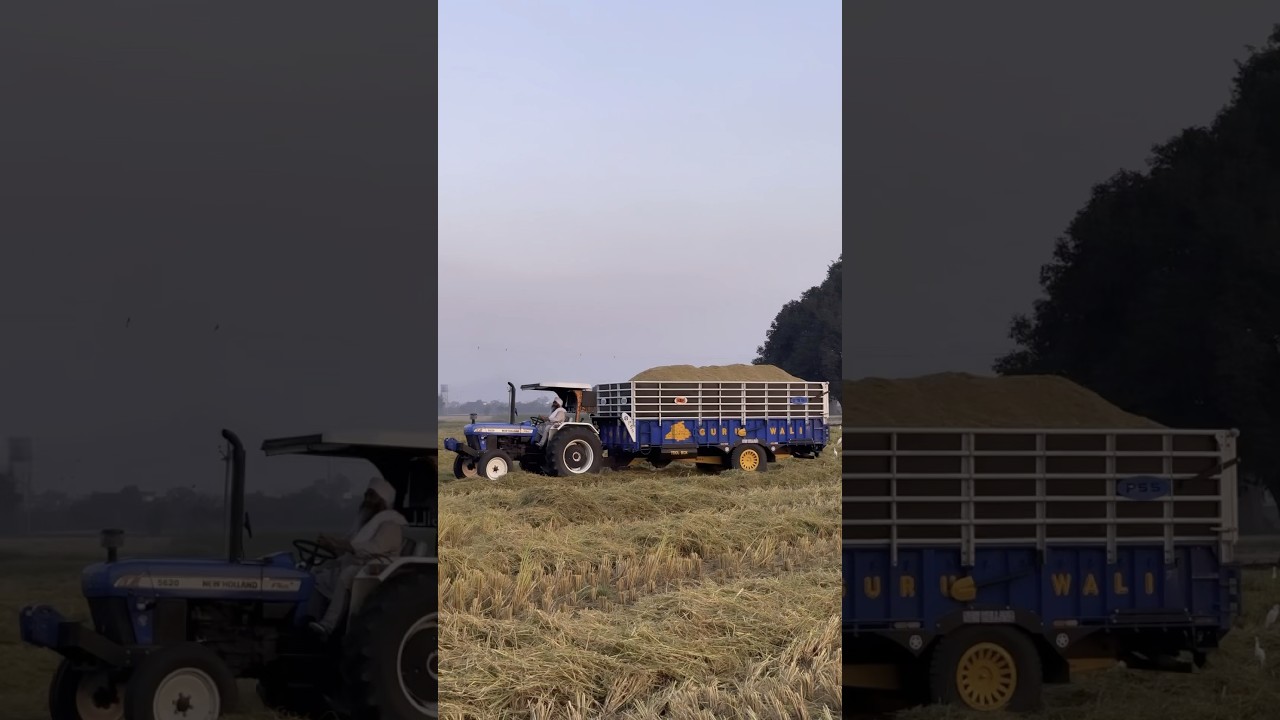 New Holland 5620. Full Power 💪💪 #newholland5620 #newholland3630 #newhollandfullmodified