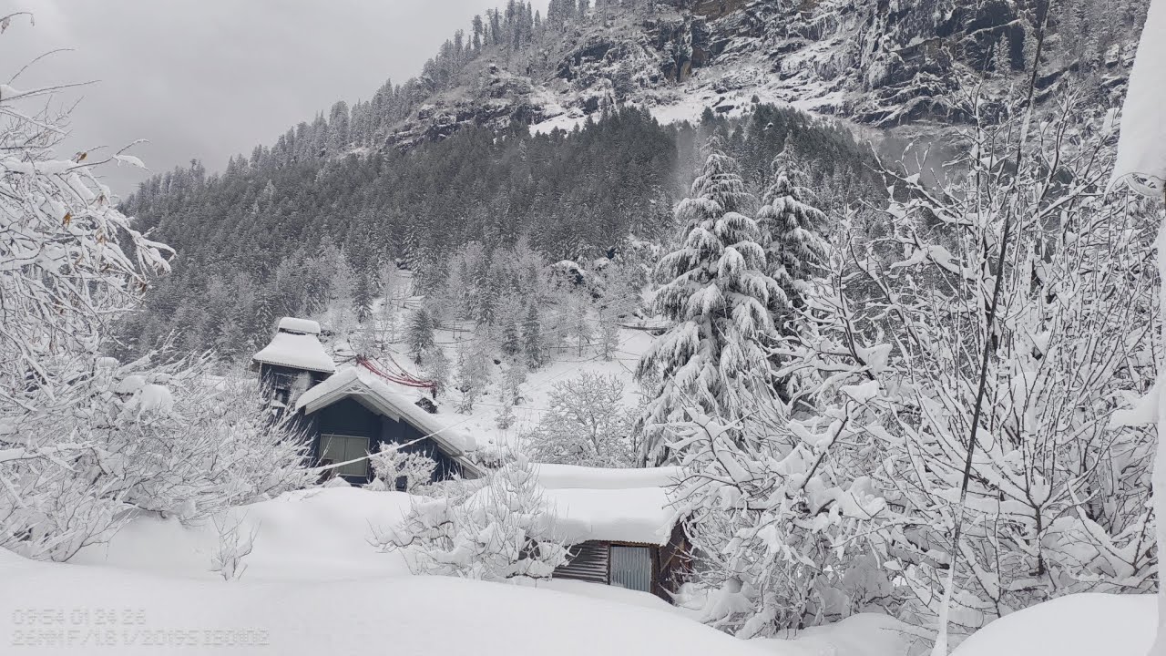 ||  ❄️How Manali is right now ❄️ || #snow #snowfall#manali 
