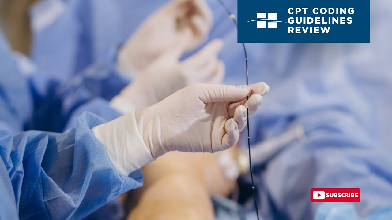CPT Coding Guideline Review - Endovascular Revasculariztion of Lower Extremities - 2026 Updates