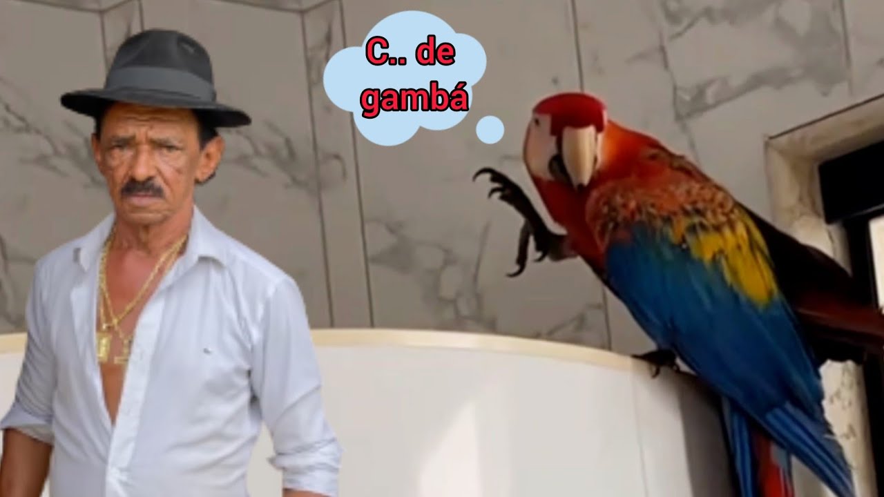 ATÉ A FLORA CHAMANDO TIRINGA DE C... DE GAMBÁ 🤣🤣 | 