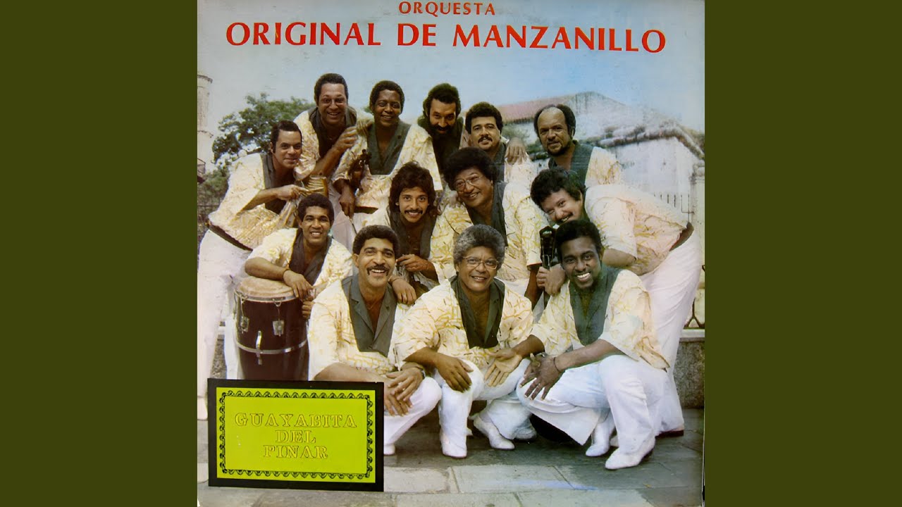 Trovador Guitarra En Mano Vas
