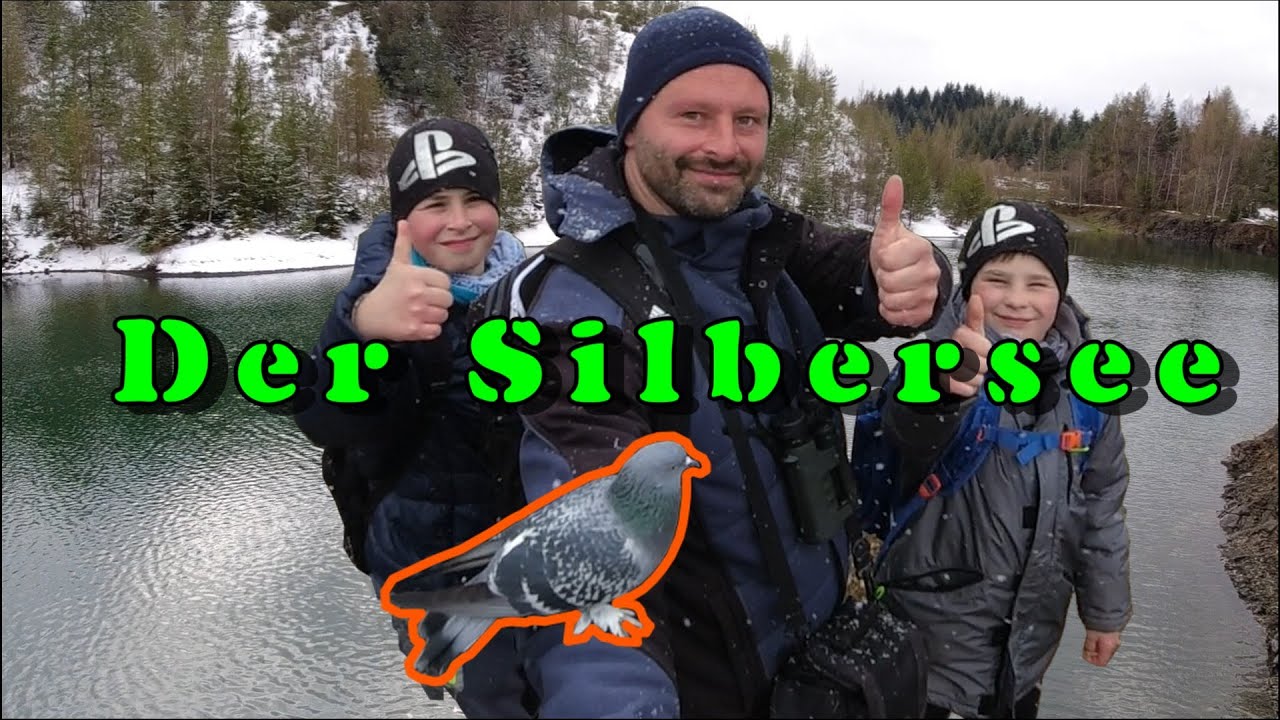 Unsere zahme Taube begleitet uns zum Silbersee | Naturabenteuer