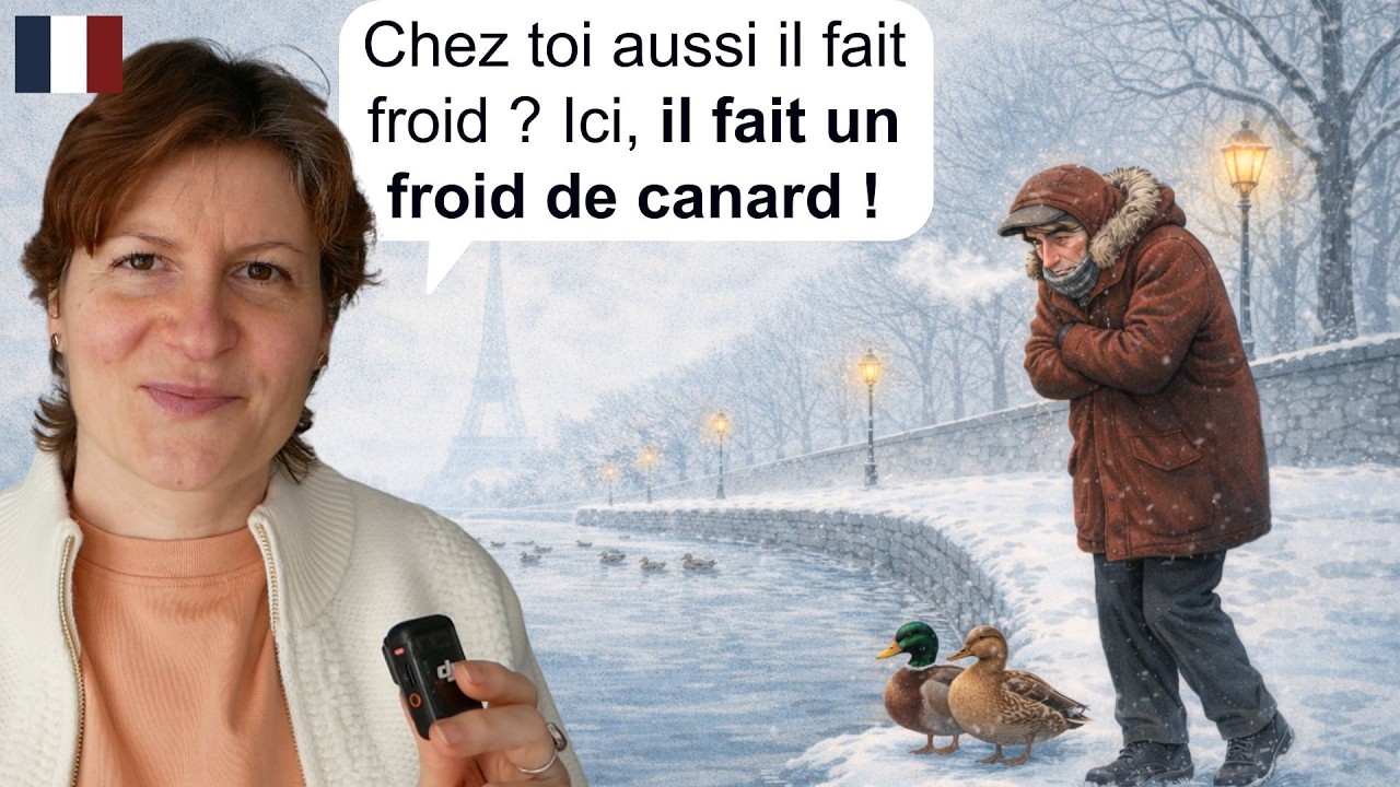 [FR] IL FAIT UN FROID DE CANARD : signification et usage d’une expression française