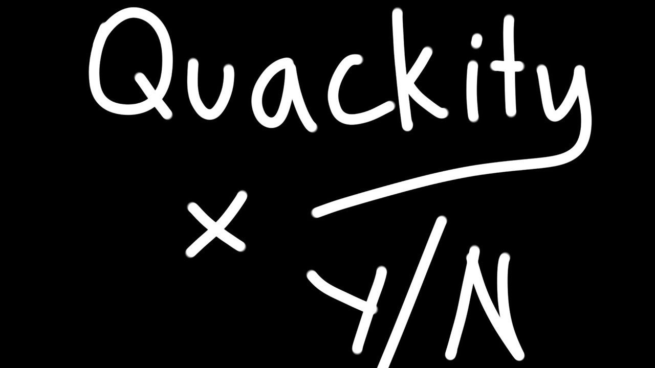 quackity x y/n part 1