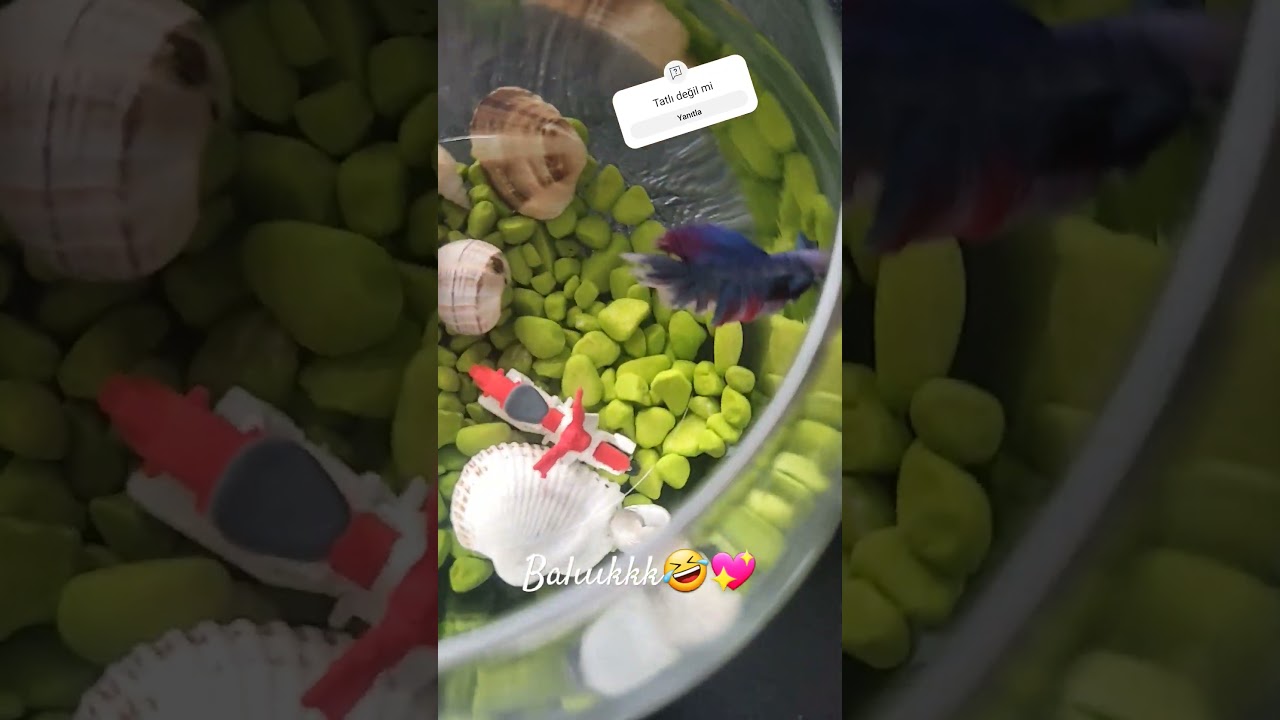 #keşfet