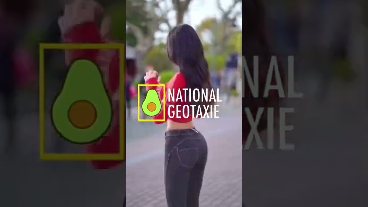 🥑PAISES DEL PLANETA POTAXIE🥑 ✨#potaxie culture✨