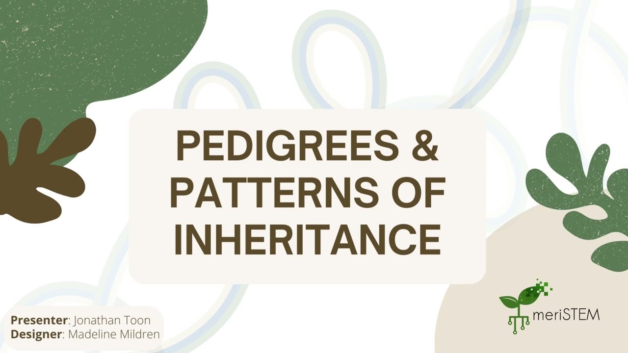 Pedigrees & inheritance patterns | DNA, genes and inheritance | meriSTEM
