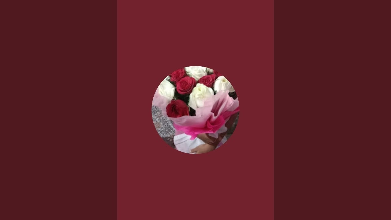Plants care journey  is live