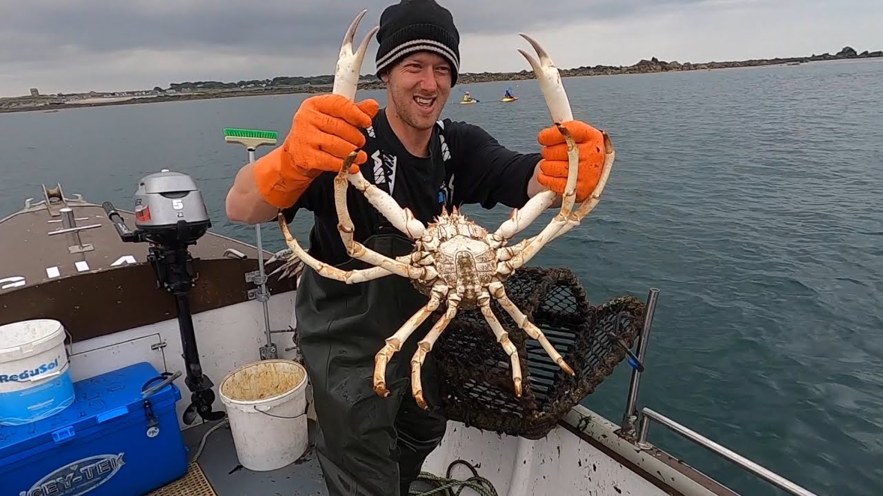Mackerel & Monster Crabs ! Catch & Cook Fresh Mackerel