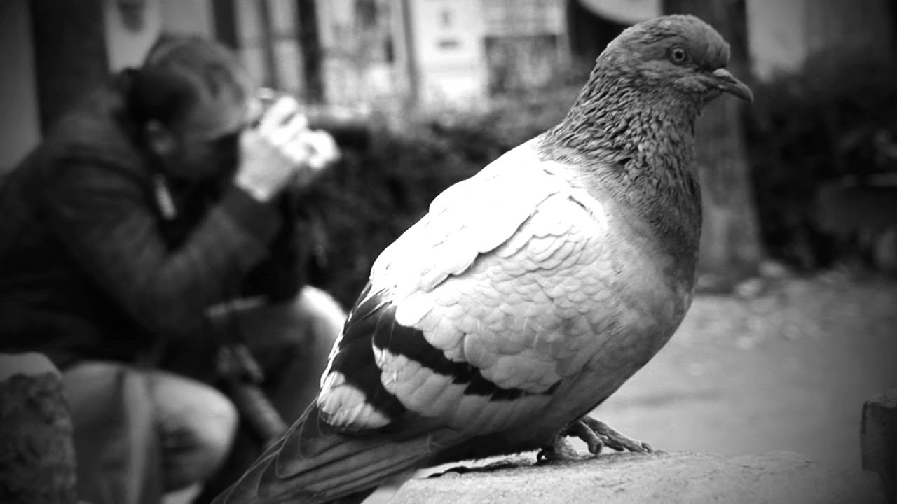 Paolo Jommelli fotografo freelance