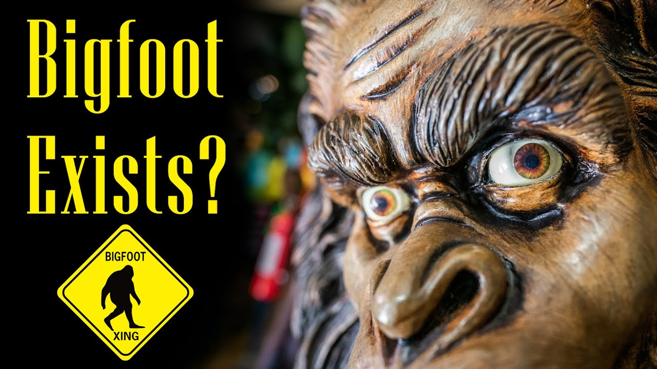 How Bigfoot Could Be Real
