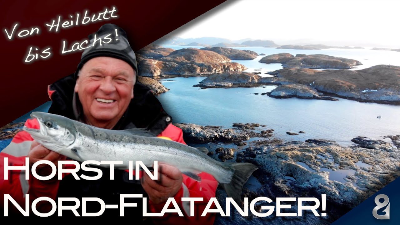 Mit Horst Hennings auf Heilbutt und Lachs! Vielfalt in Nord-Flatanger!