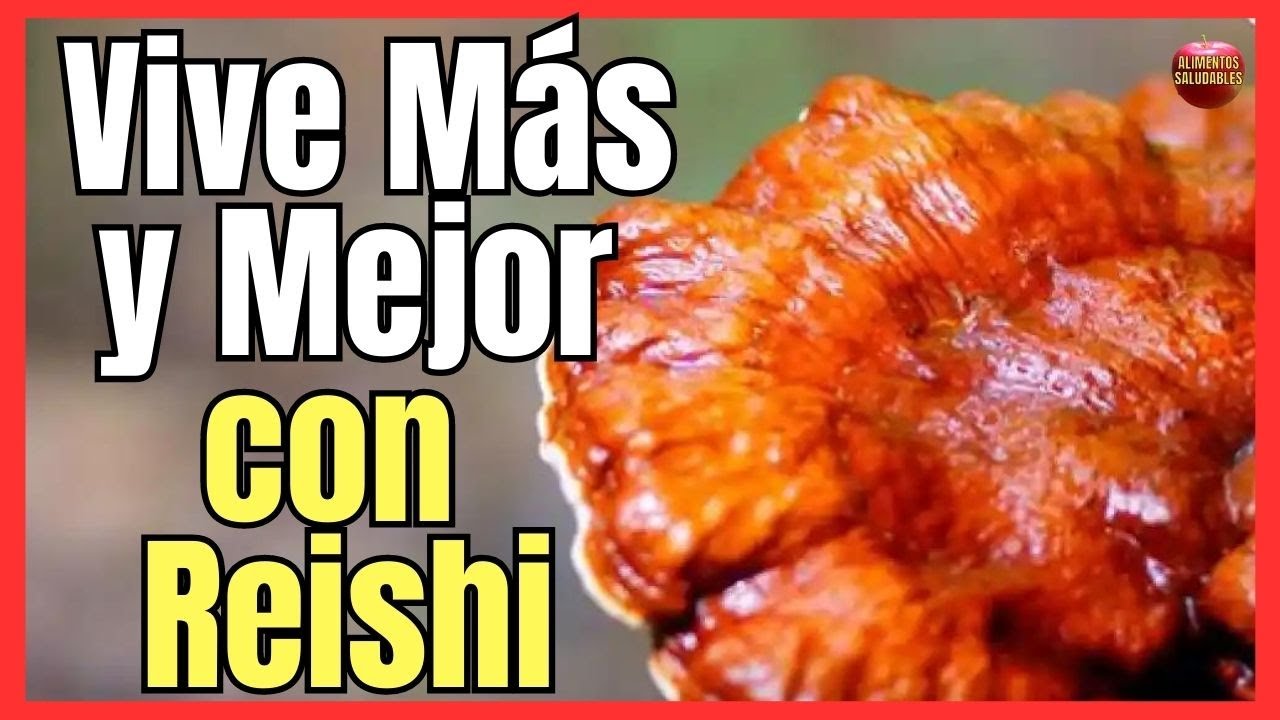 💚 REISHI PROPIEDADES Y CONTRAINDICACIONES DEL HONGO DE LA INMORTALIDAD 💚