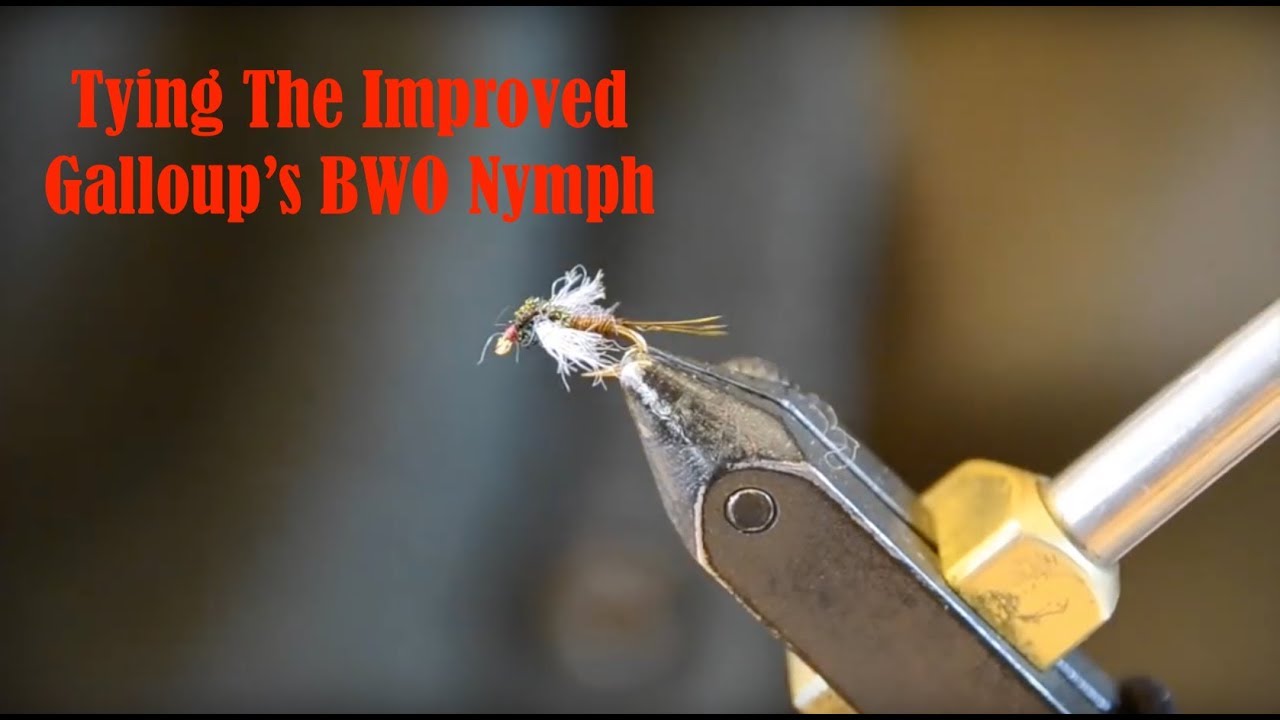Tying the Improved Galloup's BWO Nymph