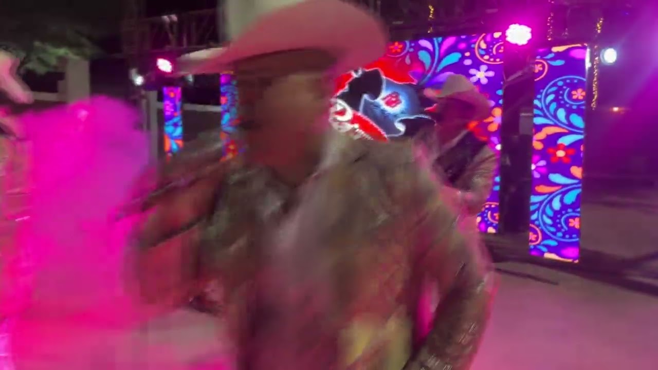 Huapango Vals de las Mariposas - Ritmo Bravo