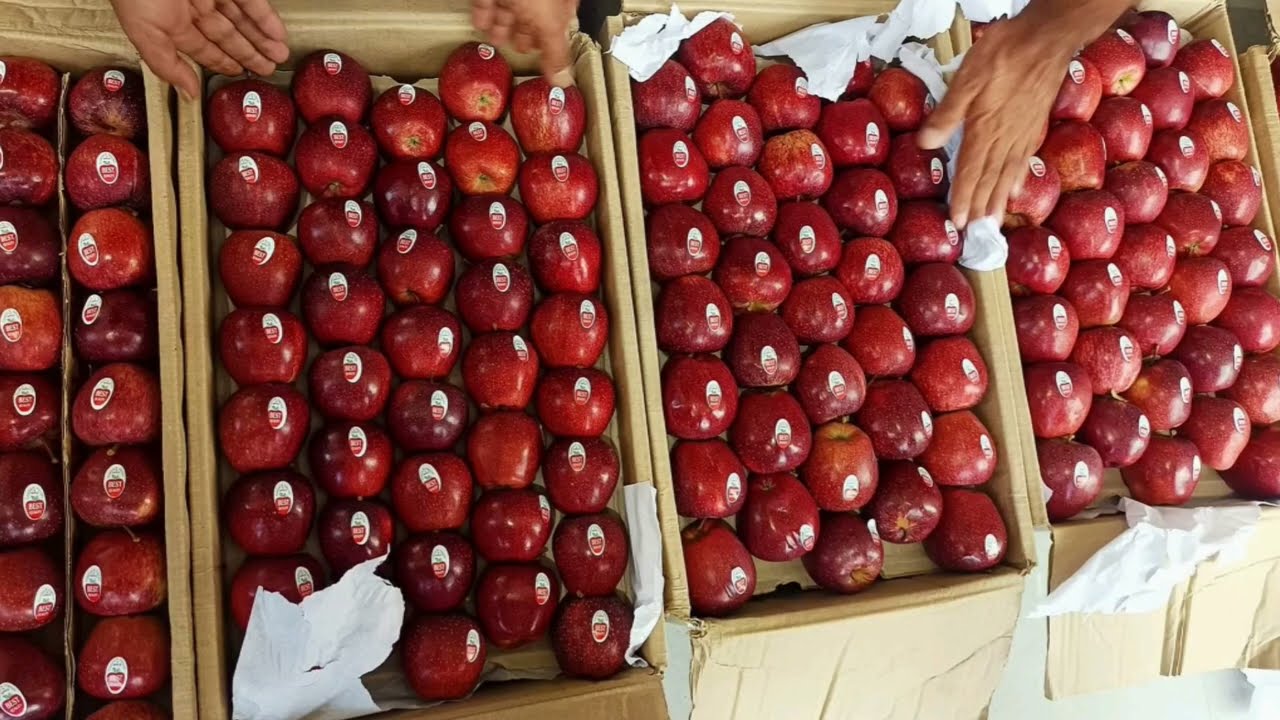 November: kinnaur apple in Parwanoo mandi | Today's apple market update | Himalayanfarming | Live