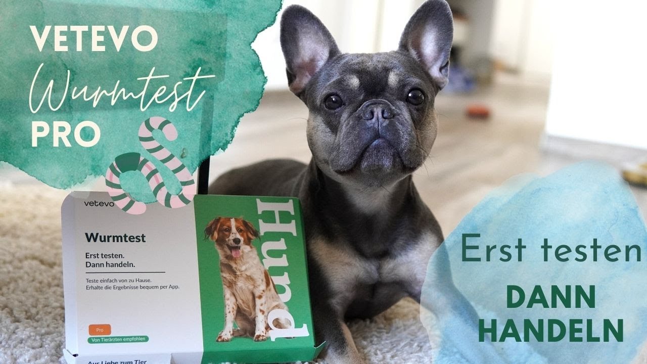 Dogblog #2 | VETEVO WURMTEST PRO | Erst testen, dann handeln! Keine sinnlosen Entwurmungen mehr!