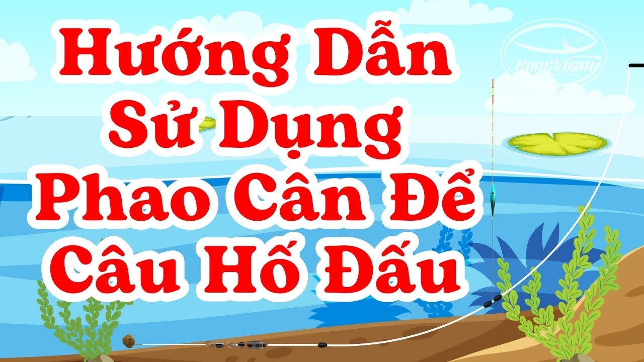 Kỹ Thuật Câu Hố Đấu Đỉnh Cao: Hướng Dẫn Sử Dụng Phao Cân Để Câu Hố Đấu - Kỹ Thuật Nhiều AE Chưa Biết