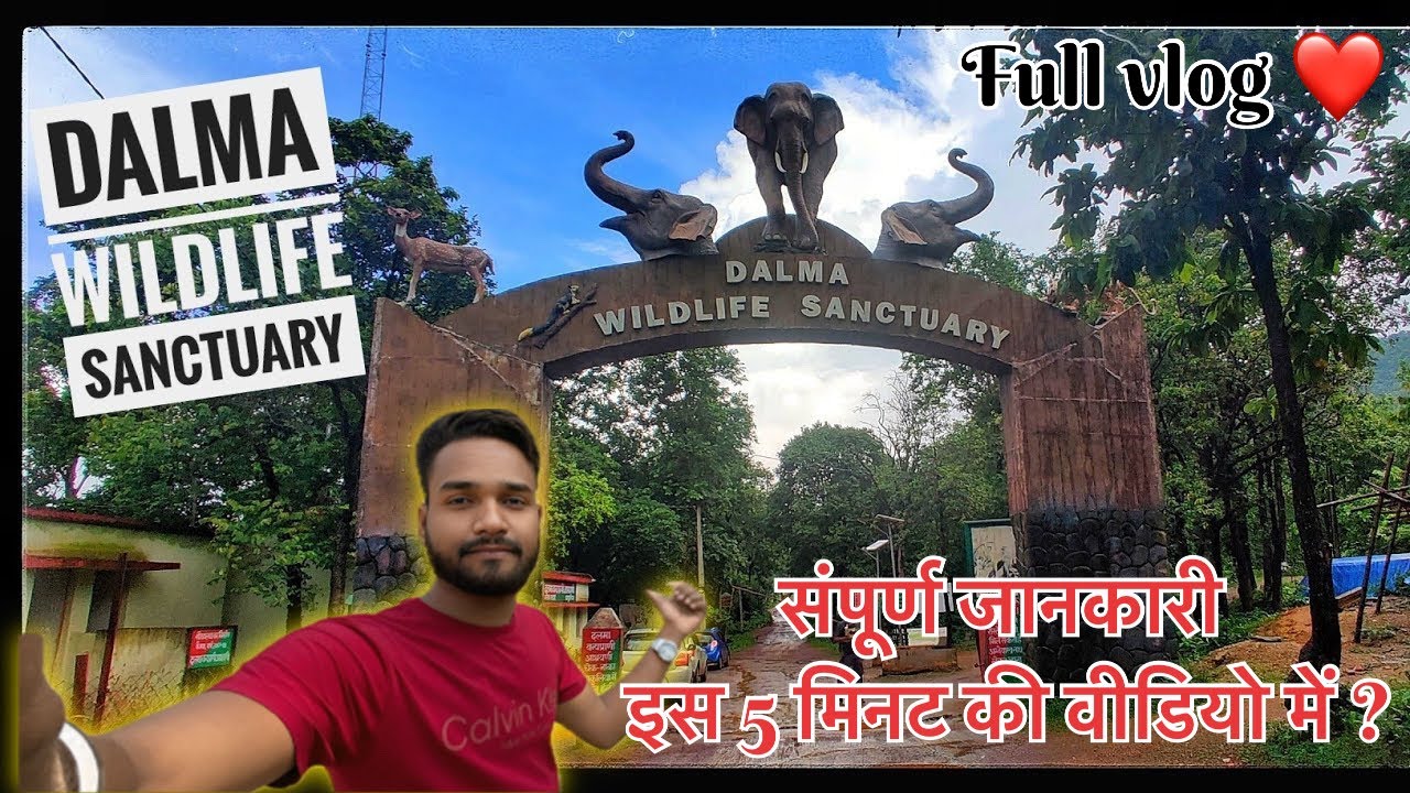 Dalma Wildlife Sanctuary Jharkhand ⛰️ दलमा हिल | Jharkhand \\ dalma wildlife Sanctuary😱