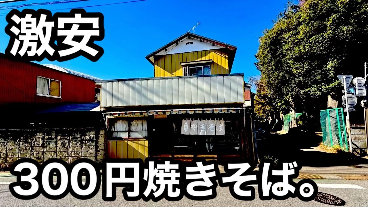 激安）300円焼きそば、ふらり道中列車の旅取手駅周辺グルメ紹介。