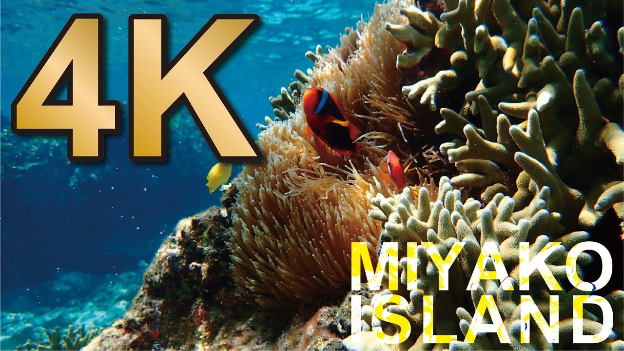 【4K 】宮古島　伊良部島 シュノーケルスポット穴場めぐり】！35end/保良漁港横/白鳥崎/東平安崎【Gopro under water movie 】