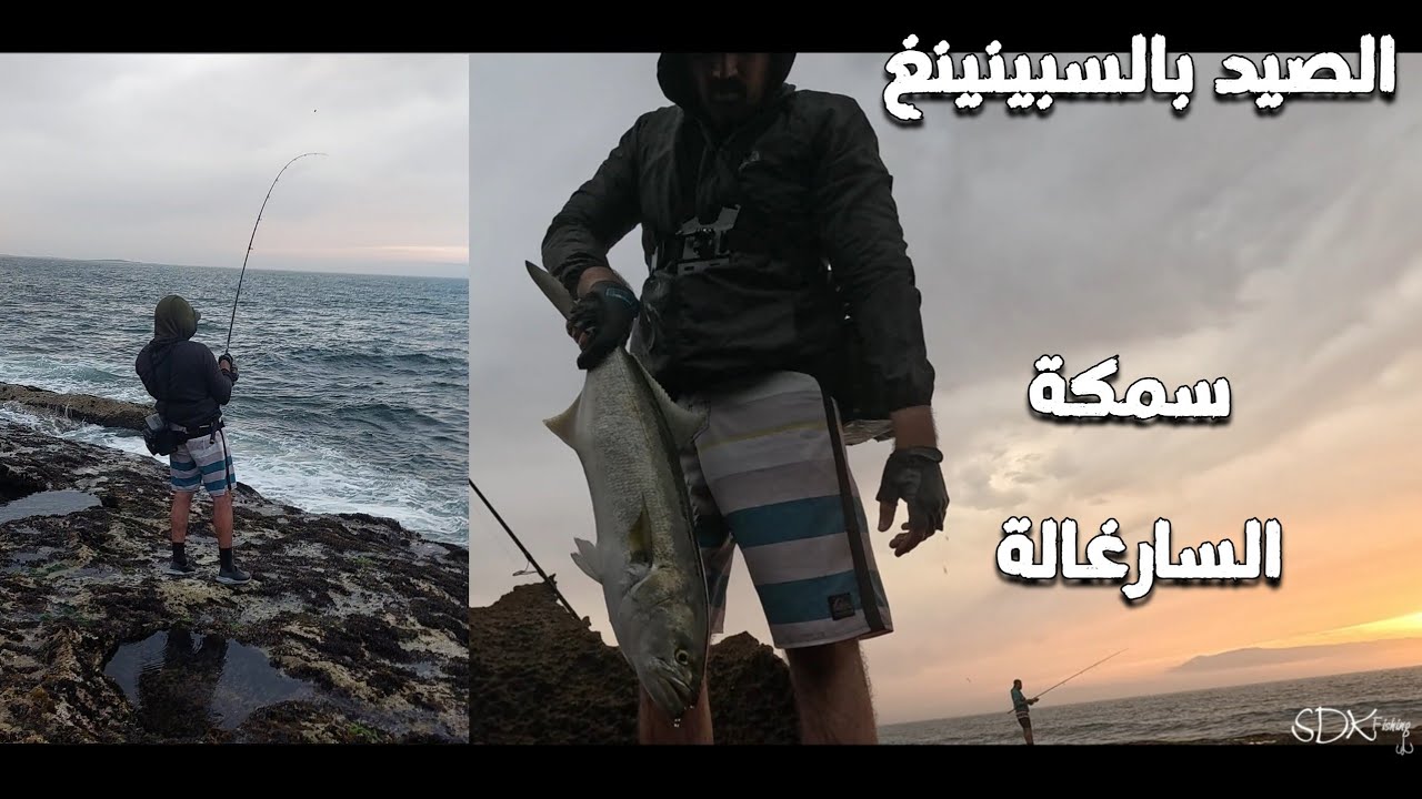 techniques de peche spinning maroc tasergal #sdkfishing #الصيد  #fishing #leurre #maroc