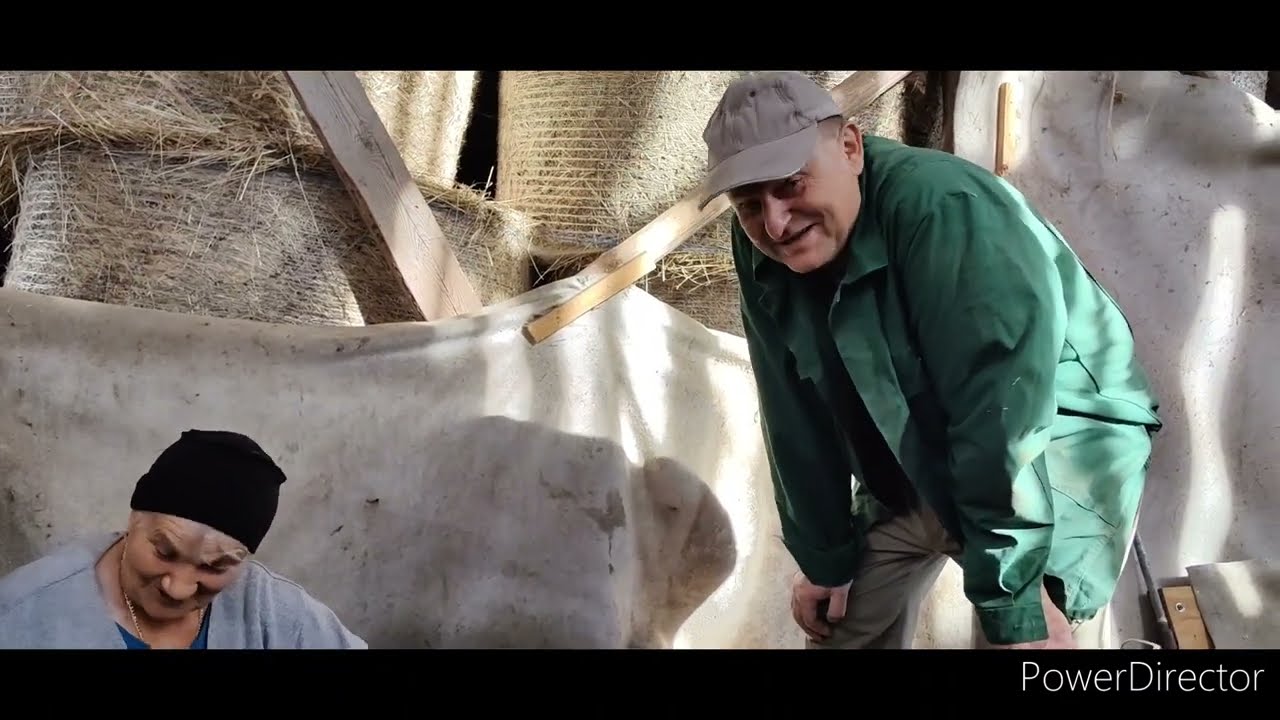 Zwalczanie drutowców, wybór dobrych sadzeniaków - kilka cennych porad jak postępować z ziemniakami