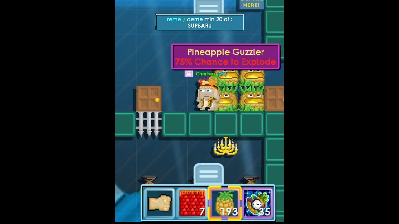 cara gacha event pineapple 🍍no need Friends