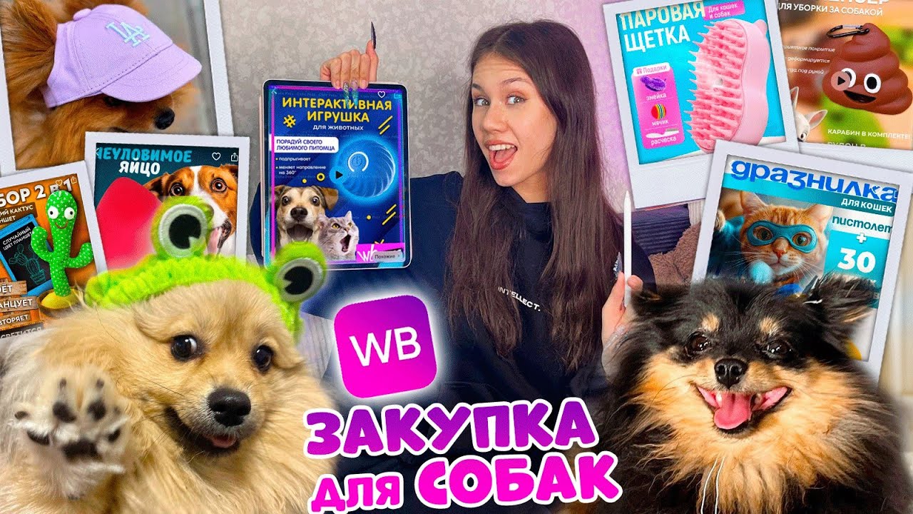Покупаю ТОВАРЫ на WB 🛒для МОИХ СОБАК с ПОДПИСЧИКАМИ 😎