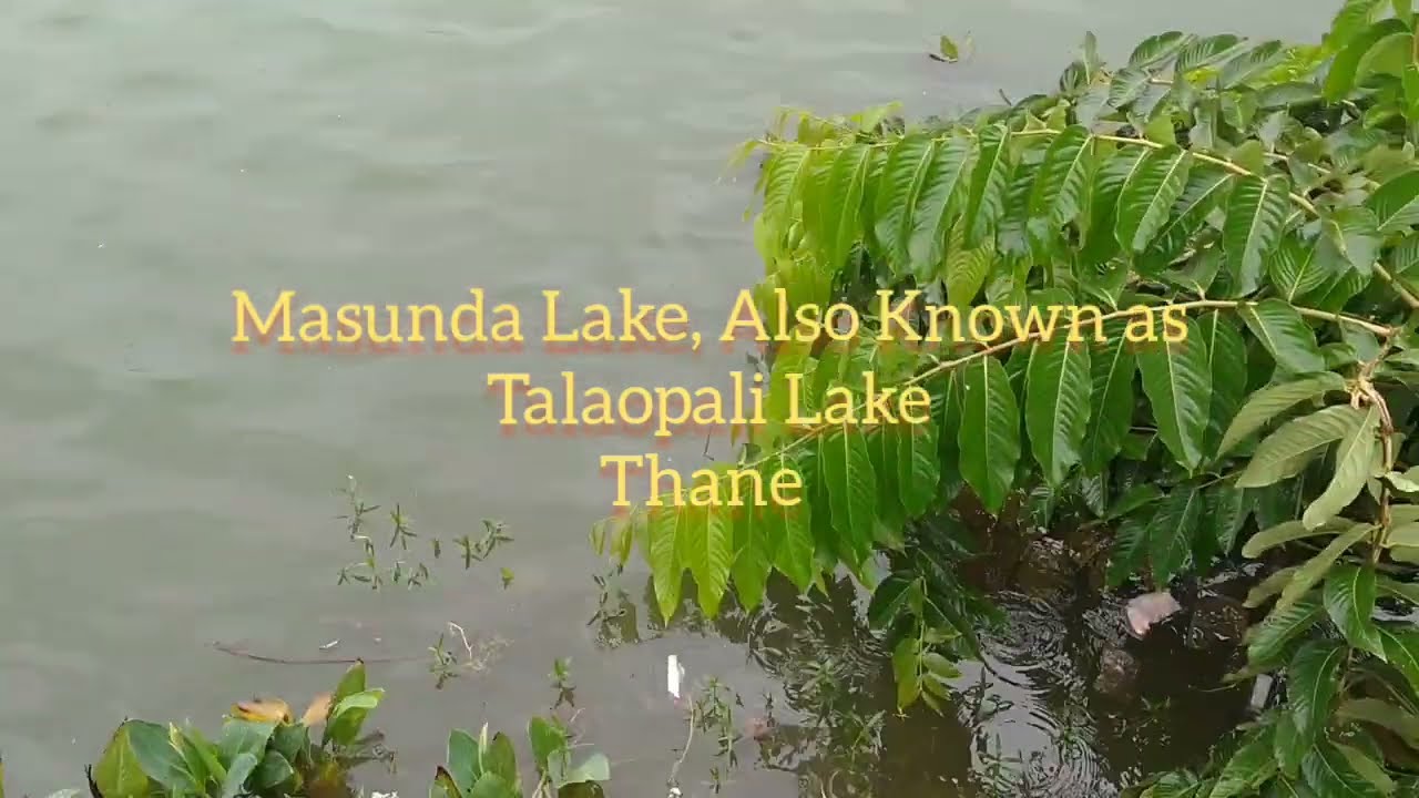 Masunda Lake(Talaopali Lake) Thane....