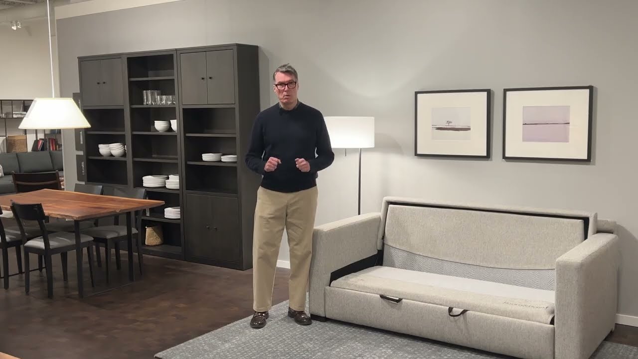 Berin Sleeper Sofa