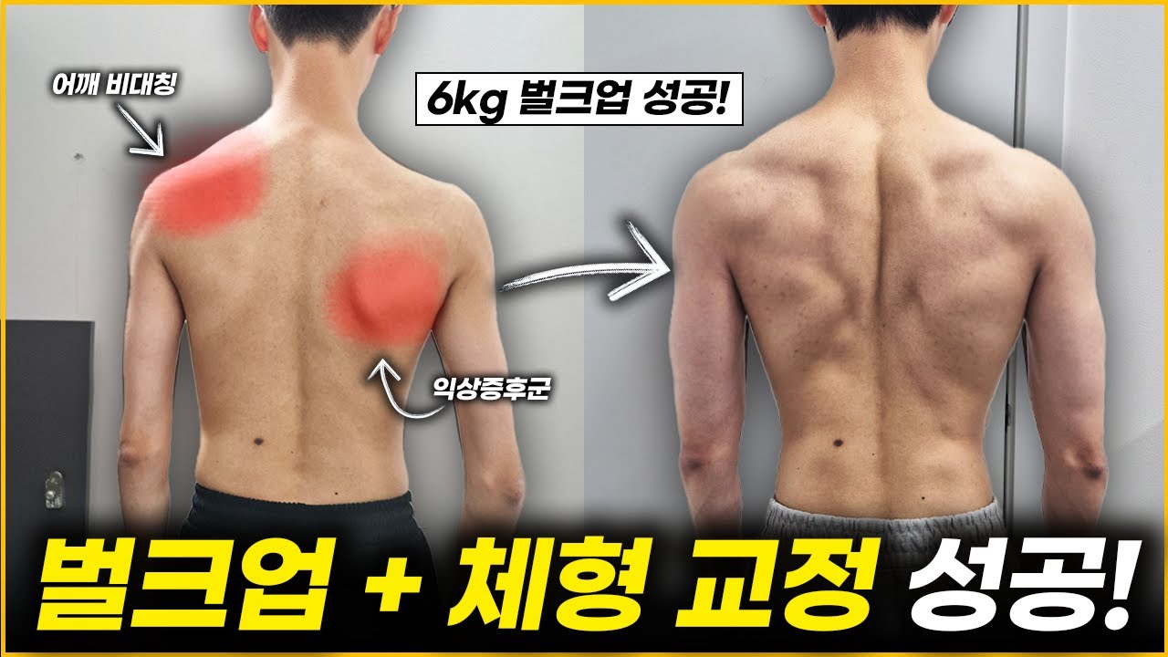 벌크업&교정 루틴 식단 공개! | 메루치성공사례