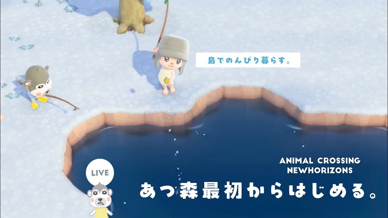 【あつ森配信】マイル貯めたり釣りしたり🐟Switch2であつ森を最初からはじめる！