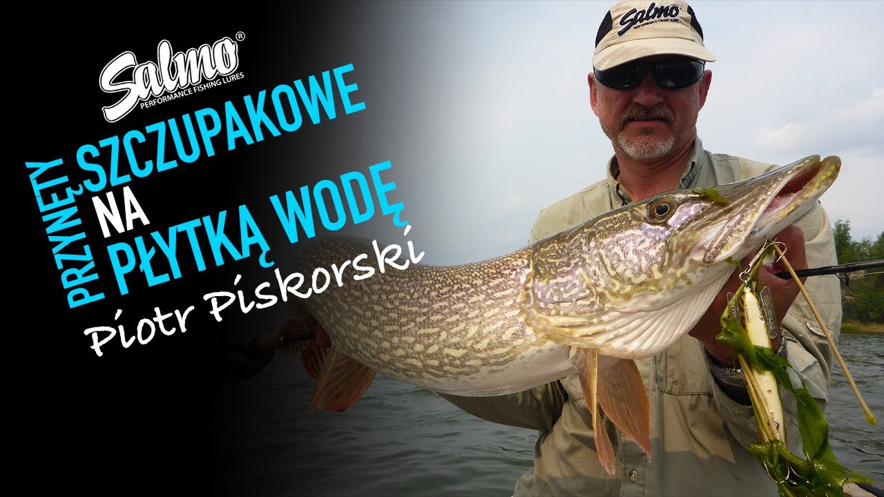 PRZYNĘTY SZCZUPAKOWE SALMO NA PŁYTKĄ WODĘ | Piotr Piskorski