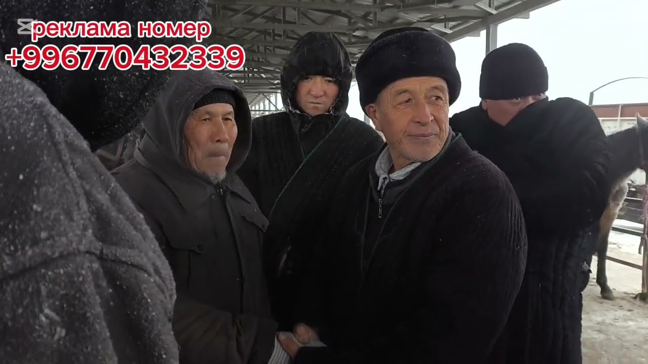 РАЗЗАКОВ ШААРЫНДАГЫ МАЛ БАЗАР 22 01 2026