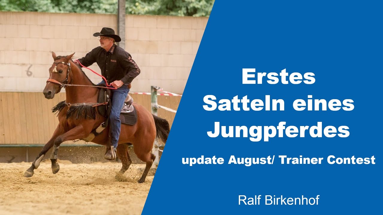 Erstes Satteln eines Jungpferdes | Ralf Birkenhof | Trainer Contest 2021 Update August