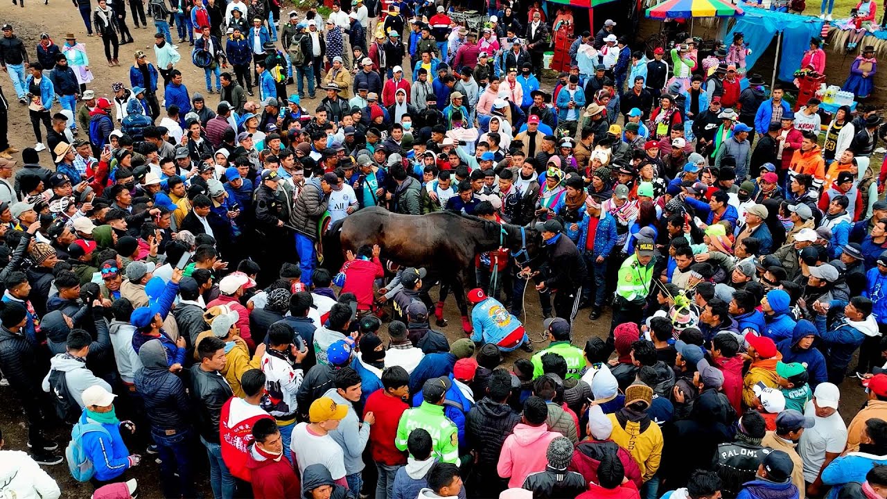 ACCIDENTES EN CARRERA DE CABALLOS ▷ EN PAUCARA 2023 ✅