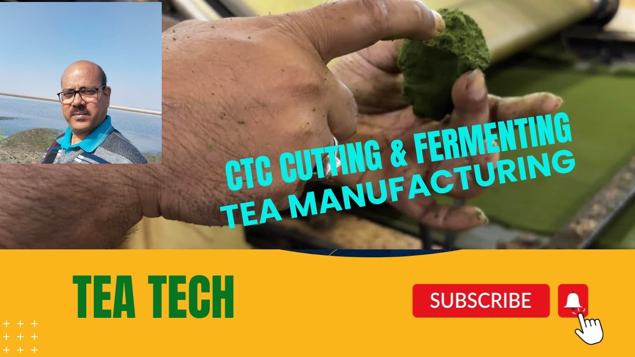 CTC CUTTING & FERMENTING