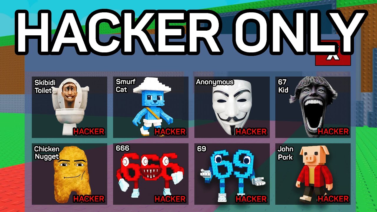 I Got EVERY HACKER Brainrot..