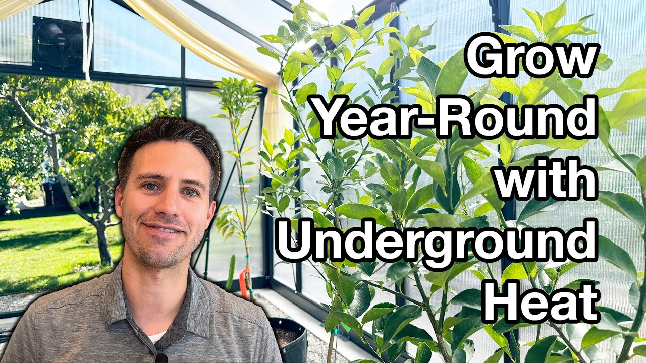 Earth Battery: Revolutionize Your Greenhouse
