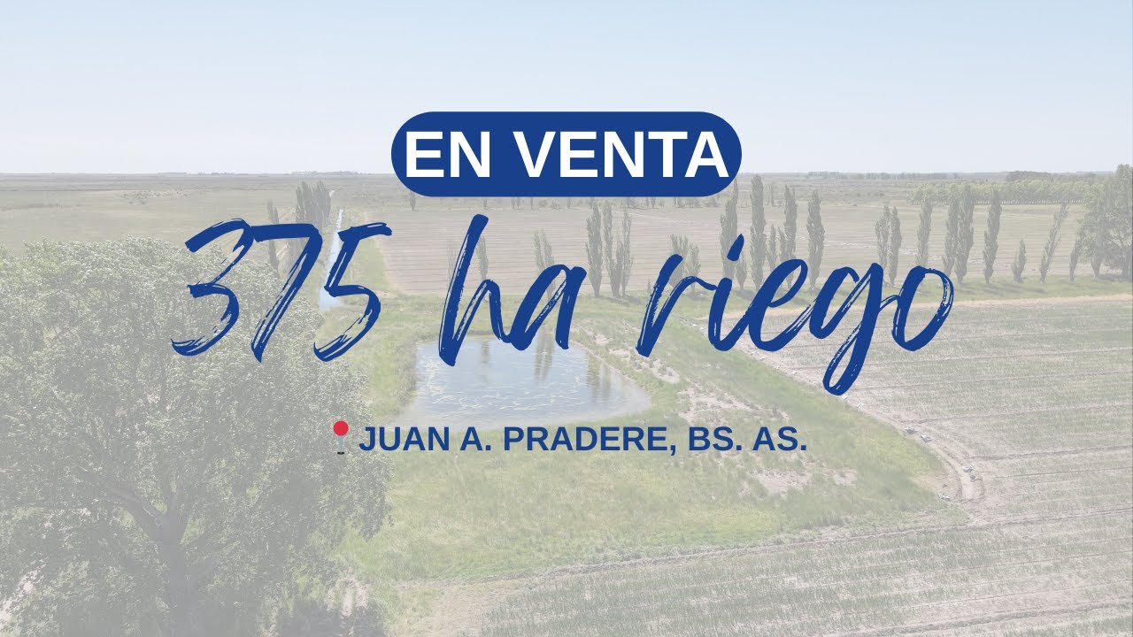 Campo en venta - 375 ha con riego en Juan A. Pradere, Bs. As.