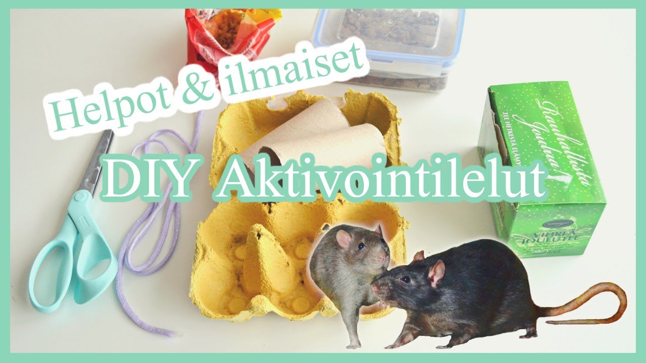 DIY AKTIVOINTILELUT JYRSIJÖILLE