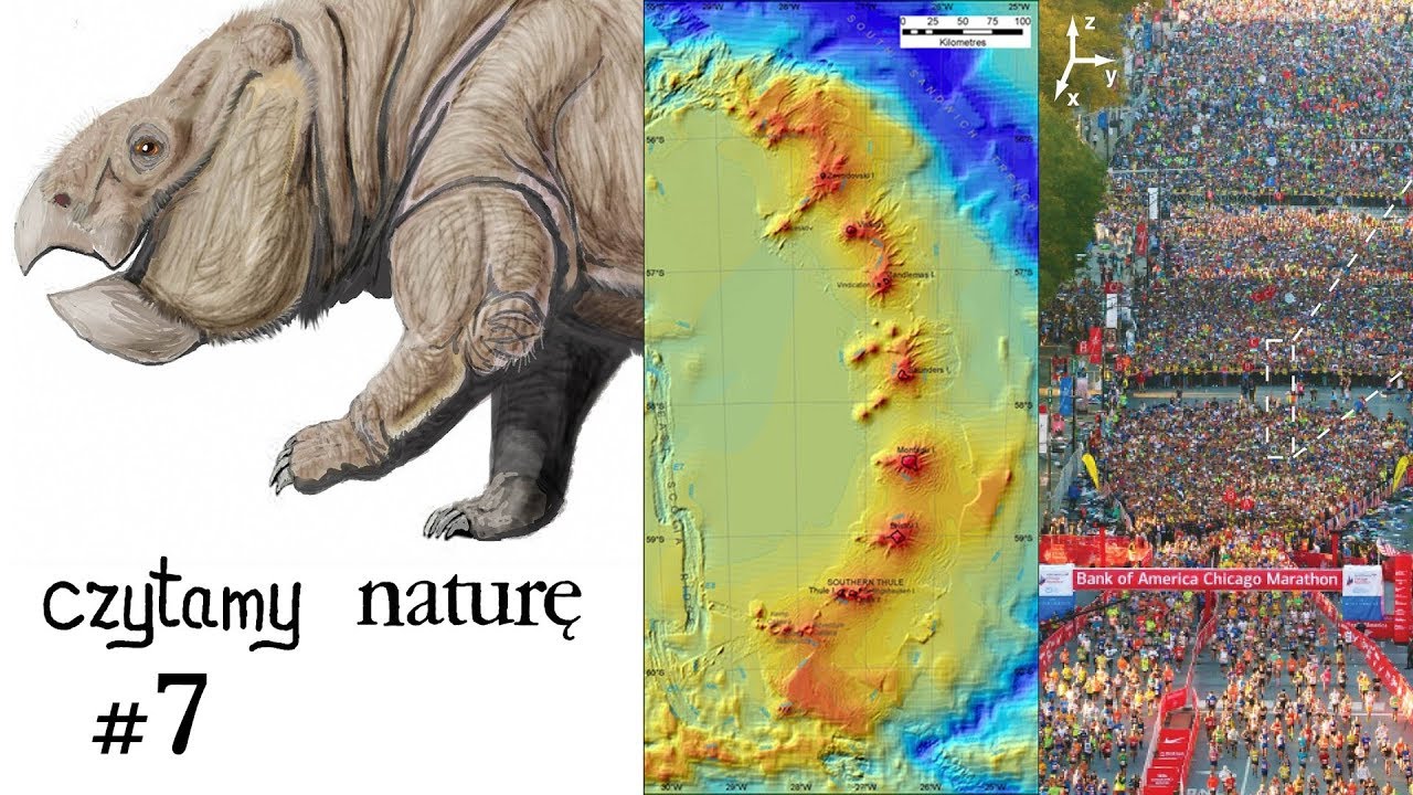 Czytamy naturę #7 | Gigantyczny pra-ssak - Neon w płaszczu - Płyń z tłumem