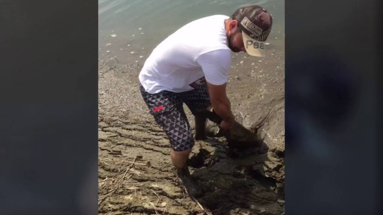 Japao pesca de lambada