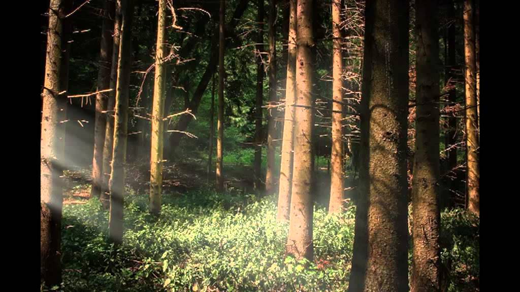 LASSU feat. Anna Patrini - BĘDĘ BIEC